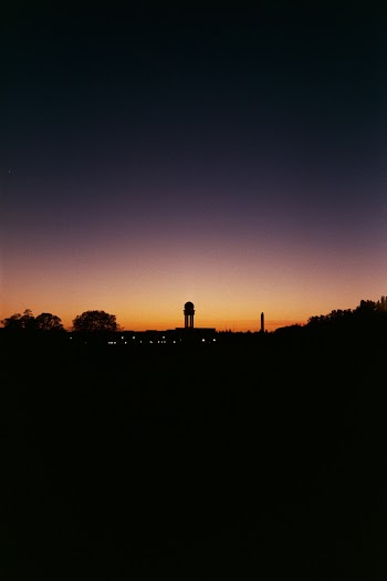 Silhouette of Trees