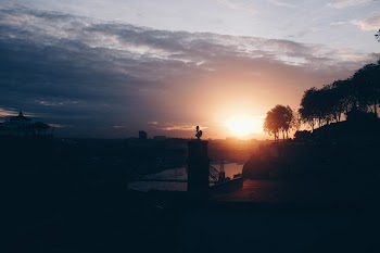 Silhouette of Trees and Buildings during Sunrise