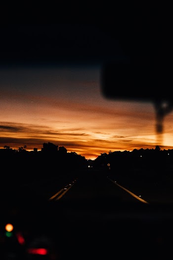 Silhouette of Trees and Highway