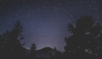 Silhouette of Trees and Mountain