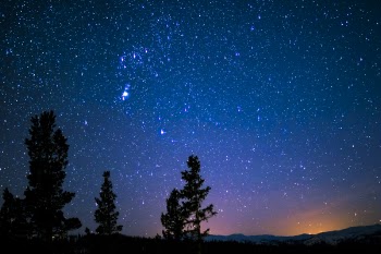 Silhouette of Trees and Mountain Under Blue Starry Sky