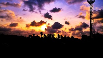 Silhouette of Trees and Tower during Sunset