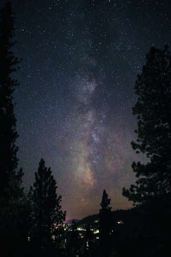 Silhouette Of Trees At Nighttime