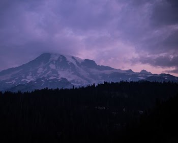 silhouette of trees background of snow capped mountain
