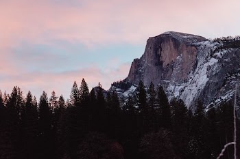 silhouette of trees beside mountain