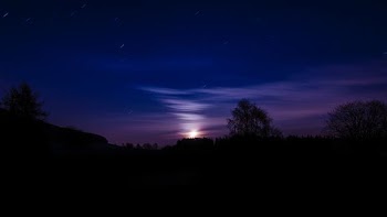 silhouette of trees during nighttime