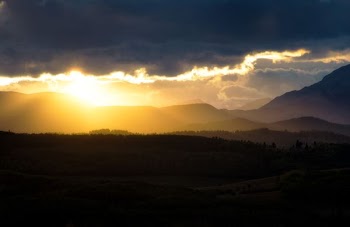 silhouette of trees during sunset