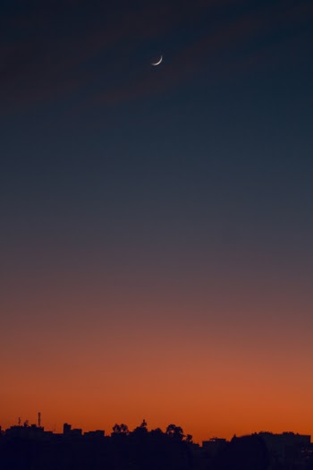 Silhouette Of Trees During Sunset