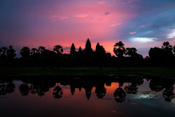 Silhouette of Trees Near Body of Water