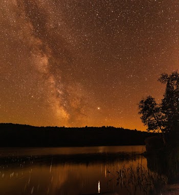 Silhouette Of Trees Near Body Of Water Under Night Sky