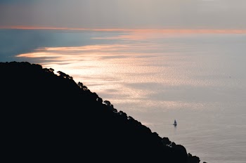 Silhouette of Trees on Mountain