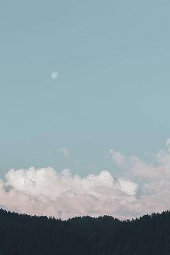 Silhouette Of Trees Under Blue Sky