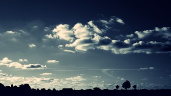 Silhouette of Trees Under Cloudy Sky