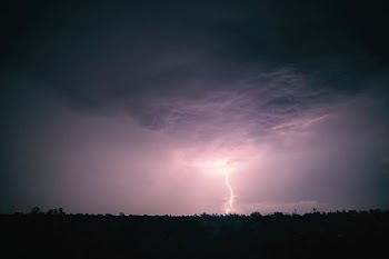 silhouette of trees under gray clouds with thunder at nighttime