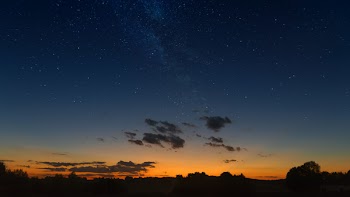 Silhouette of Trees Under Starry Night