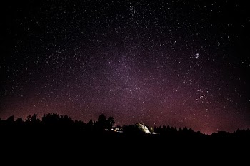 silhouette of trees under starry night