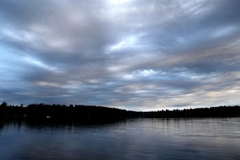 Silhouette of Tress Beside Body of Water on Cloudy Day