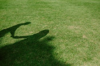 silhouette of two person on ground