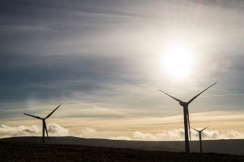 Silhouette of Windmills on Field