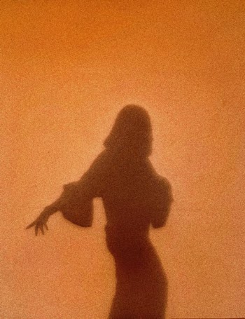 Silhouette of Woman Standing on Brown Sand · Free Stock Photo