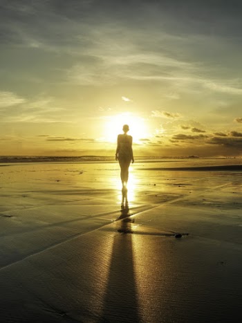 Silhouette Of Woman Standing On Seashore