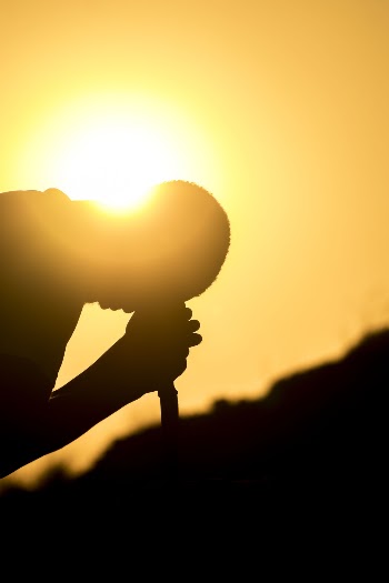 Silhouette Photo of a Person