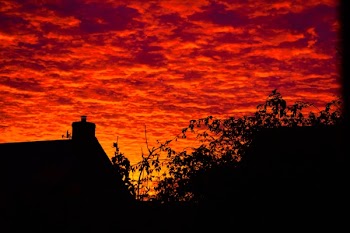 Silhouette Photo of Building