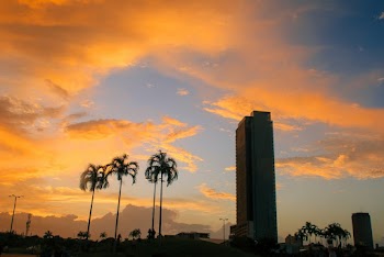Silhouette Photo Of Building And Palm Trees