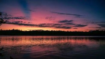 silhouette photo of calm body of water across forest