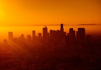 silhouette photo of city skyline