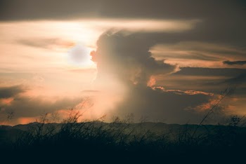 Silhouette Photo Of Grass During Sunset
