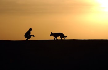 Silhouette Photo of Man an Dog During Sunset