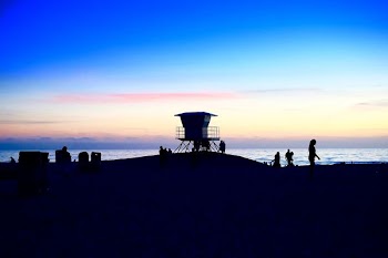 silhouette photo of people at beach