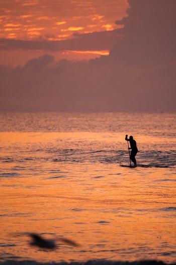 Silhouette Photo of Person riding a paddle-board during golden hour 