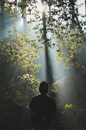 Silhouette Photo of Person Standing 