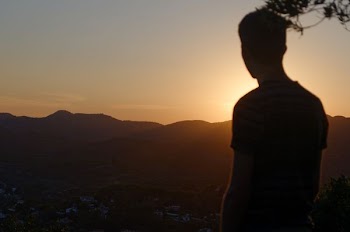 silhouette photo of person standing near tall tree during dawn