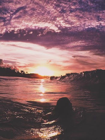 Silhouette Photo of Person Swimming on Body of Water During Golden Hour
