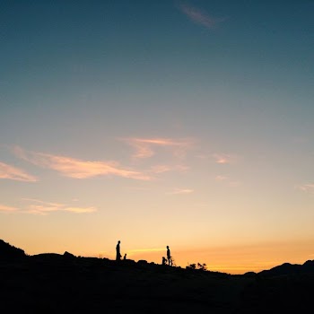 silhouette photo of rees under blue sky at golden hour