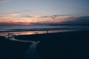 Silhouette Photo of Sea during Golden Hour