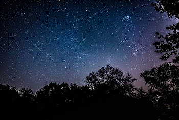 Silhouette Photo of Tree and Galaxy