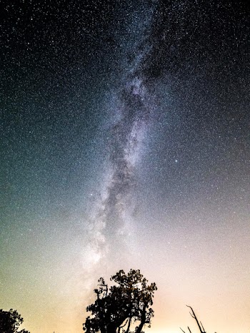 Silhouette Photo Of Tree Under Stars