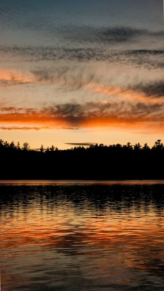 silhouette photo of trees and lake during dawn