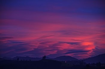 silhouette photo of trees and mountains