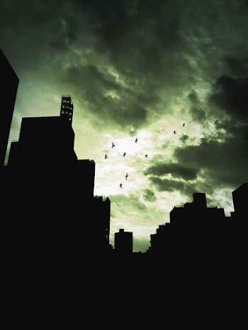 Silhouette Photography of City Buildings and Birds Flying