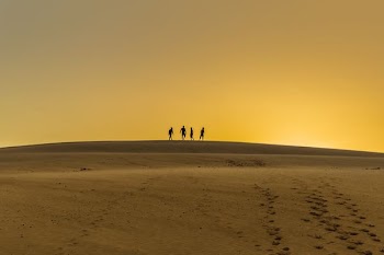 silhouette photography of four person