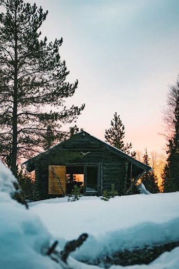 silhouette photography of house near pine tree covered with snows