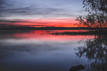 Silhouette Photography of Lake During Golden Hour