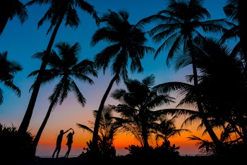 Silhouette Photography of Man and Woman Beside Trees during Sunset