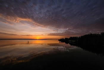 Silhouette Photography of Ocean