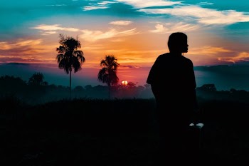 silhouette photography of person standing far from trees during golden hour